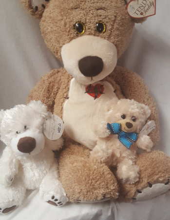 Send a BEAR! SMALL one is $7.95 (may vary in color small one comes in different colors, tan, brown white), white middle size bear select $12.95, large bear select $29.95.