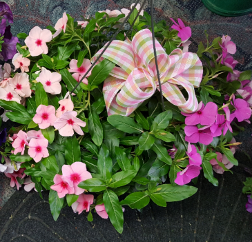 BEAUTIFUL HANGING BASKETS
