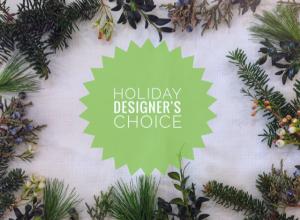 Holiday Designer's Choice Arrangement