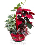 Holiday Basket of Plants 