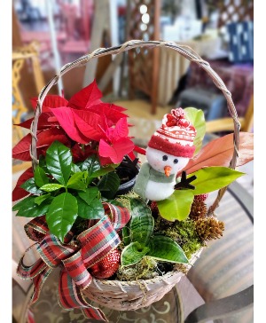 Holiday basket of Plants garden