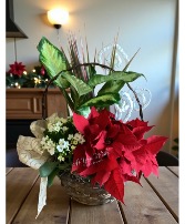 Holiday Basket  Plants 