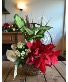 Holiday Basket  Plants 