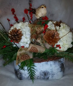 Holiday Birch in Northport, NY | Hengstenberg's Florist Holiday Birch in Northport, NY | Hengstenberg's Florist