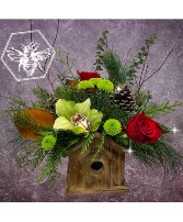 Holiday Bird Box  Designers Choice