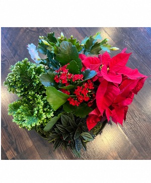 Holiday Blooming Garden Planter