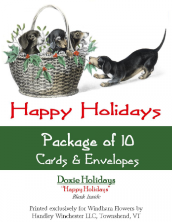 Holiday Card Set Pack of 10 Cards 