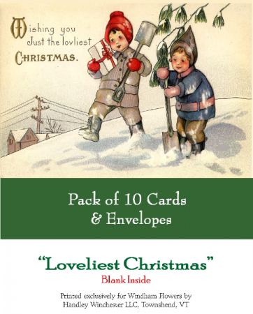 Holiday Card Set Pack of 10 Cards Loveliest Christmas