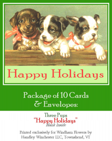 Holiday Card Set Pack of 10 Cards 