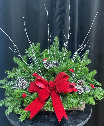 HOLIDAY CEDAR BOX HOLIDAY OUTDOOR in Lewiston, ME | Blais Flowers,Gift Shop,& Greenhouses