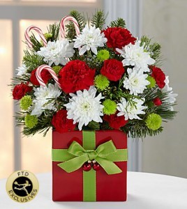 Holiday Cheer