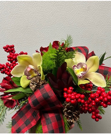 Holiday Cheer  in Etobicoke, ON | THE POTTY PLANTER FLORIST
