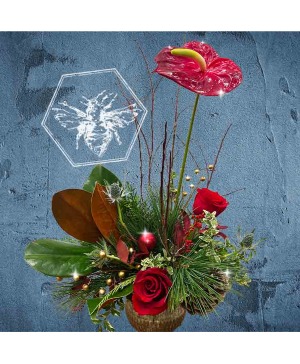 Holiday Cheer Designers Choice