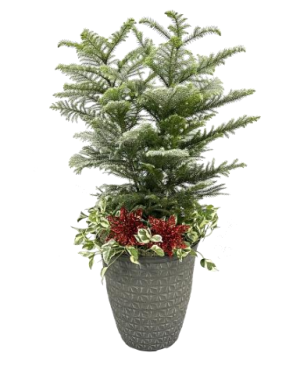 Holiday Combination Planter 