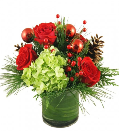 HOLIDAY DELIGHT