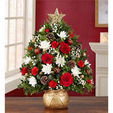 Holiday Flower Tree® The Magic Of Christmas™ in Cypress, TX | Spring Cypress Flowers Holiday Flower Tree® The Magic Of Christmas™ in Cypress, TX | Spring Cypress Flowers