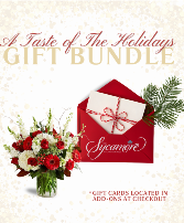 A Taste of The Holidays  Gift Bundle
