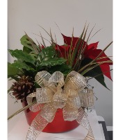 Holiday Green  Dish Garden