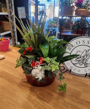 Holiday Greens  Planter