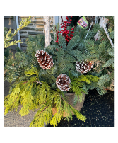 Holiday Greens with Cones & Berries Porch Pot