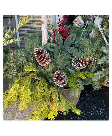 *Festive Finds Special* Holiday Greens Porch Pot in Mattapoisett, MA | Blossoms Flower Shop