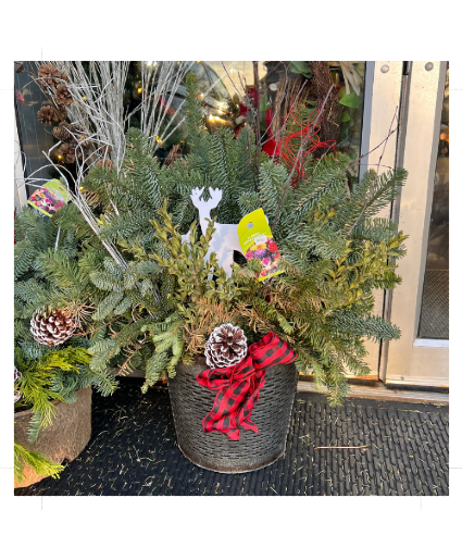 Holiday Greens with Reindeer Porch Pot