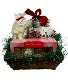 Holiday Hot Cocoa Delight  Gift Basket