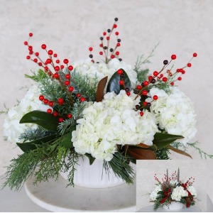 Holiday Hydrangea 