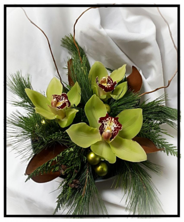 Holiday Orchids