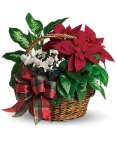 Holiday Plant Dish Garden Basket 