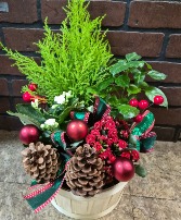 Holiday Planter 