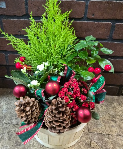 Holiday Planter 