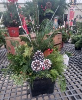 Holiday Planter  