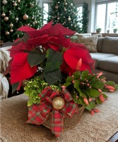 Holiday Planter Garden