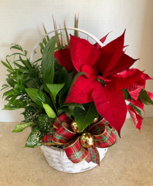 Holiday Planter with Poinsettia Planter