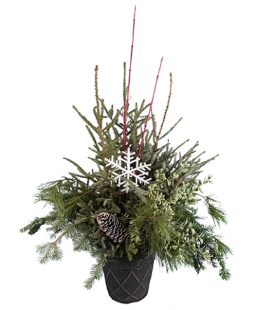 Holiday Porch Pot  in Freeman, SD | Vintage Vault Floral