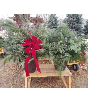Holiday Porch Pot Evergreen