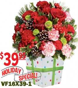 Holiday Present Christmas Flowers in Williston Park, NY | VOGUE FLOWERS Holiday Present Christmas Flowers in Williston Park, NY | VOGUE FLOWERS