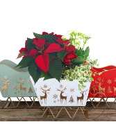 Holiday Sleigh Planter