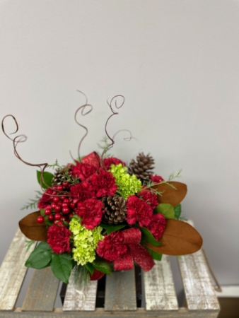 Holiday Spirit  in Etobicoke, ON | THE POTTY PLANTER FLORIST