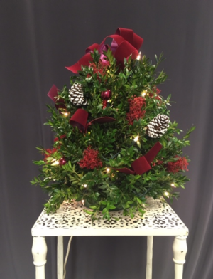 Holiday Splendor Fresh Boxwood Tree in Norwich, CT | LeFrancois Floral and Gifts Holiday Splendor Fresh Boxwood Tree in Norwich, CT | LeFrancois Floral and Gifts
