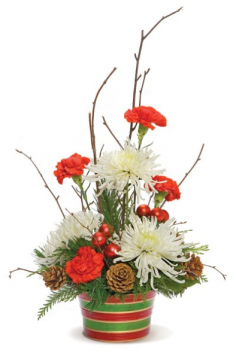 Category Image