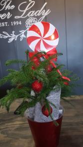 holiday tree  arrangement