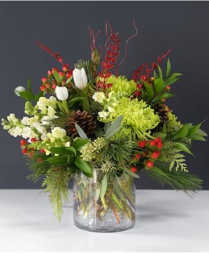 holiday vibes  winter 