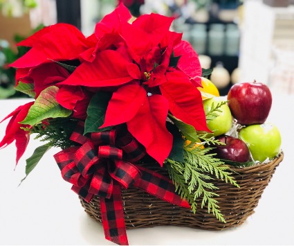 Holiday’s Basket Fresh fruit basket with a poinsettia