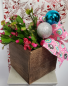 Holidays In Bloom Christmas Cactus Plant