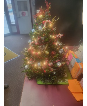 Holiday Boxwood Tree Boxwood  Tree Decorated