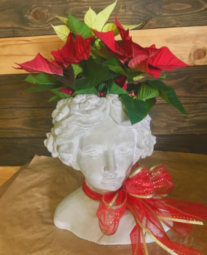 Holly Day live plant with decorative container in Lakeside, CA | Finest City Florist Holly Day live plant with decorative container in Lakeside, CA | Finest City Florist