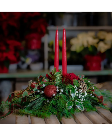 Holly Green Christmas Centerpiece in Charlottetown, PE | Hearts and Flowers