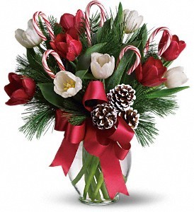 Holly Jolly Tulips Holiday Bouquet 